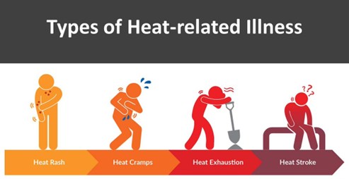 THE IMPORTANCE OF STAYING HYDRATED THE IMPORTANCE OF STAYING HYDRATED